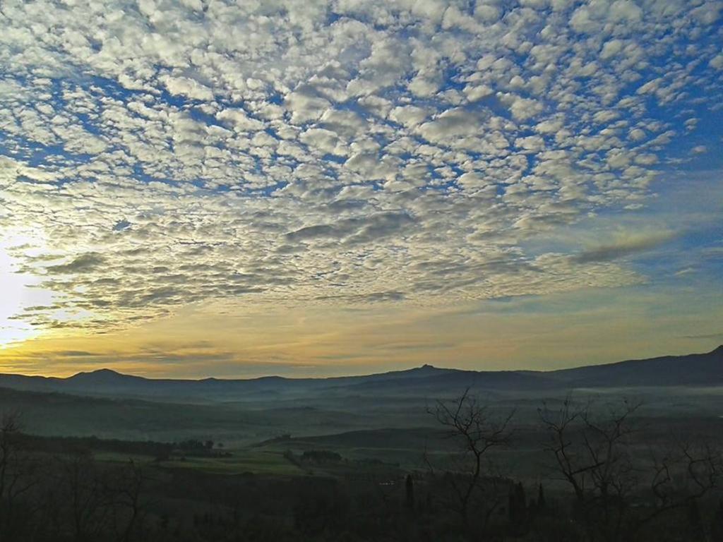 Agriturismo Il Macchione Pienza Dış mekan fotoğraf