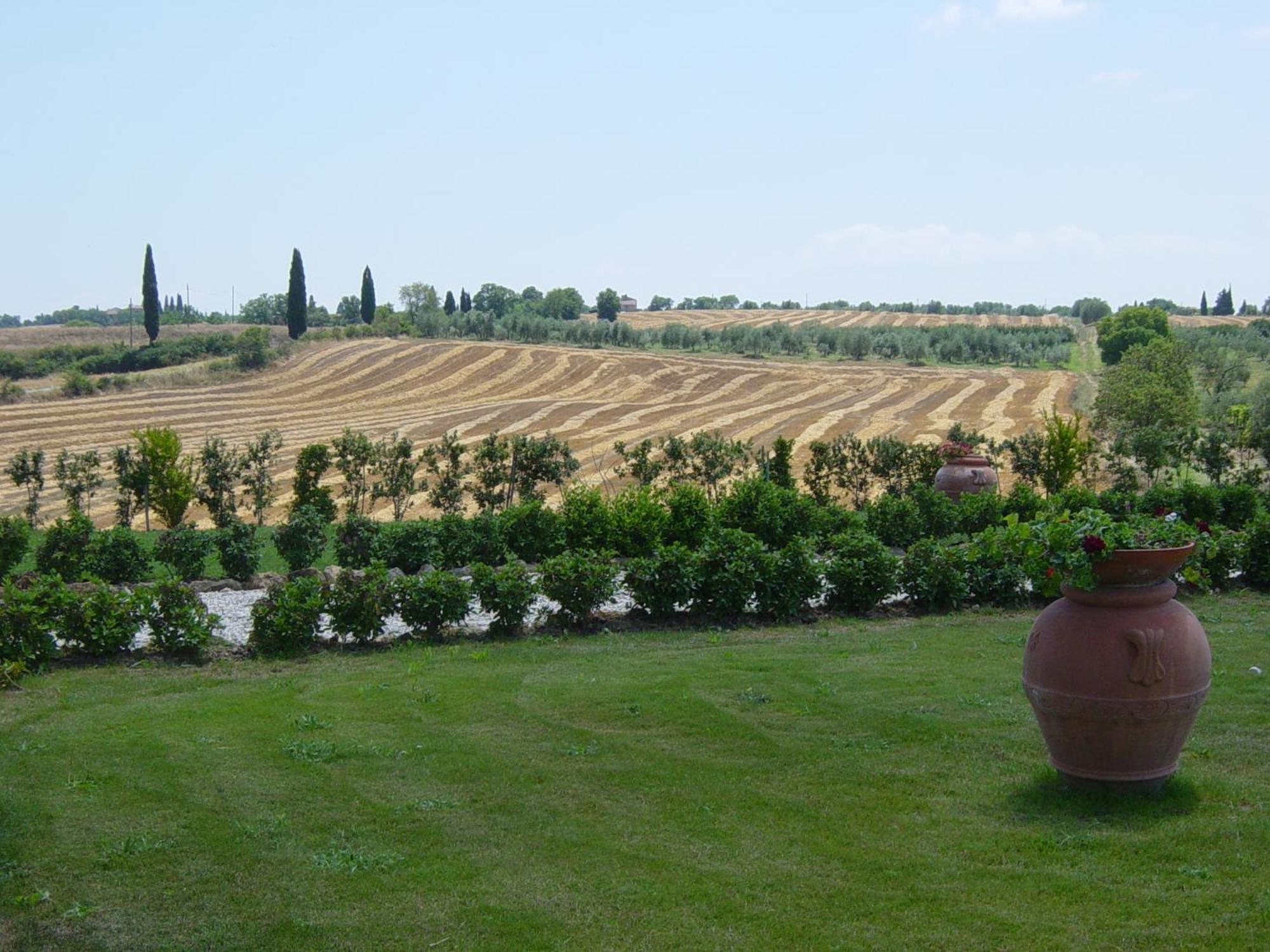Agriturismo Il Macchione Pienza Dış mekan fotoğraf